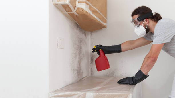 Professional Mold Remediation technician working in Teterboro, NJ
