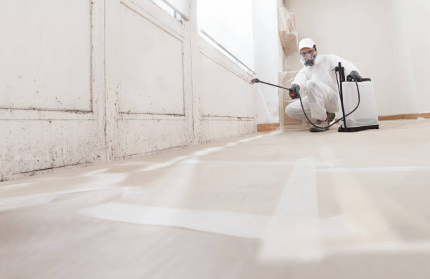 24/7 Emergency Mold Remediation experts in Teterboro, NJ