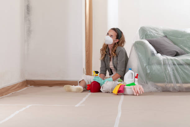 Reliable Mold Remediation contractor in Teterboro, NJ by 24 Hour Mold Removal